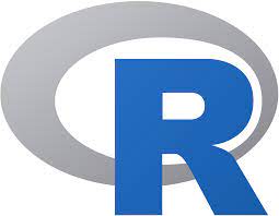 R image icon